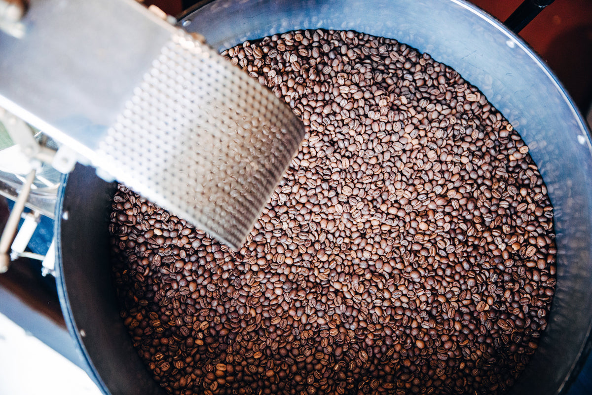 Roasted coffee beans in a metal cooling tray