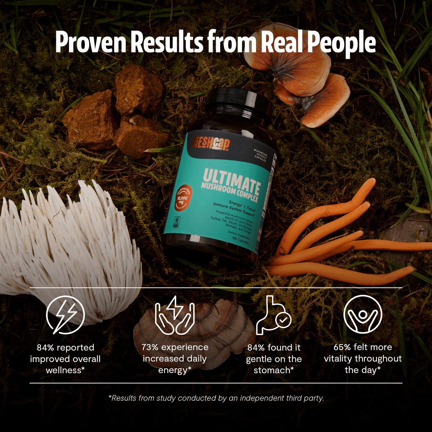 Organic Mushroom Complex Supplement Capsules - Cozy Notes Coffee Co