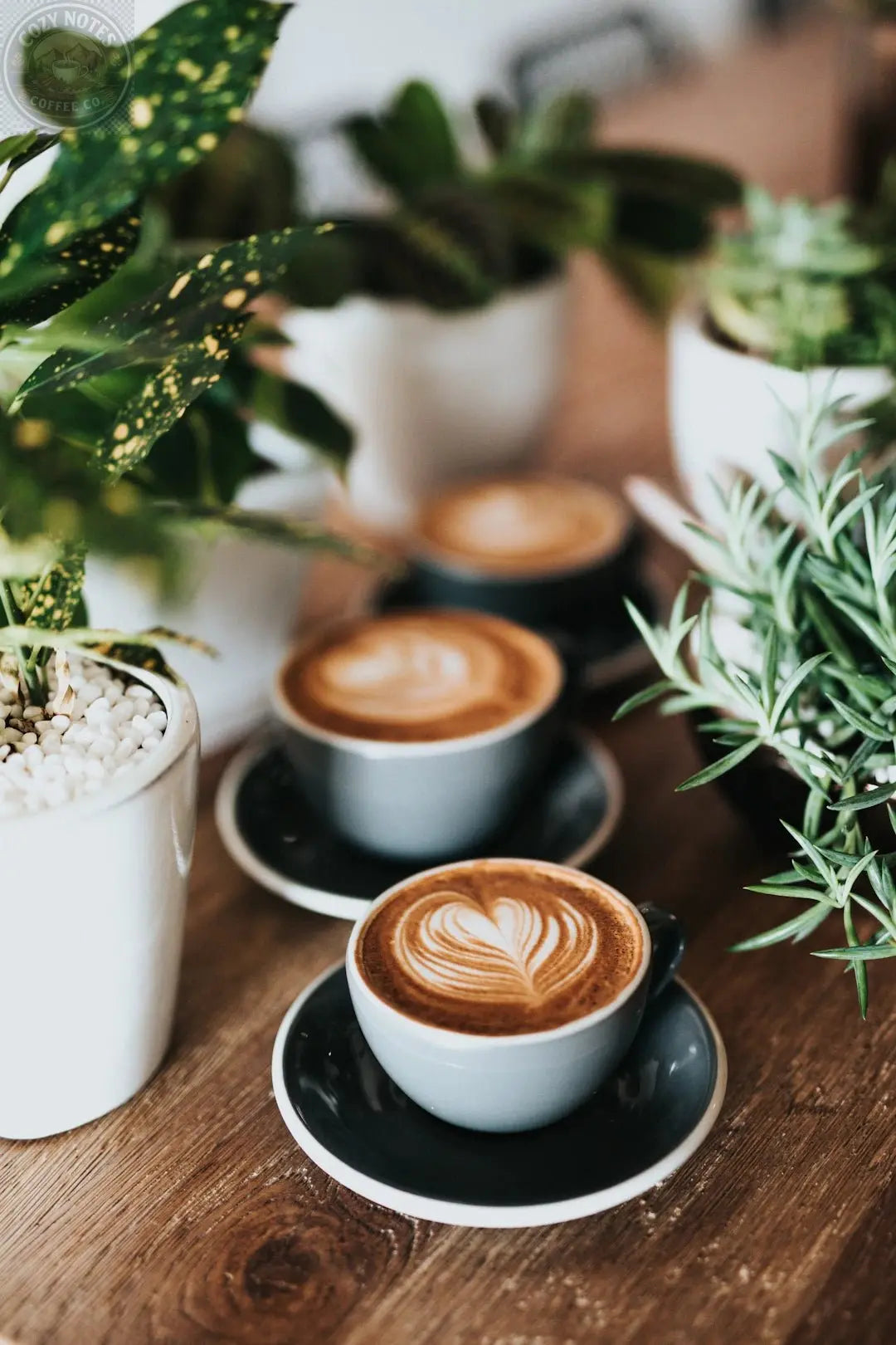 Morning Brews: Exploring Rich Coffee Blends Cozy Notes Coffee Co
