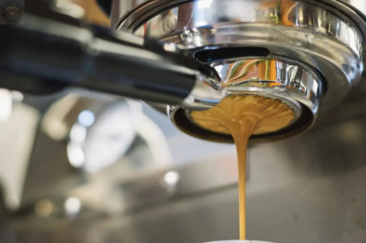 The Future of Coffee: Innovations & Trends Shaping the Brew Cozy Notes Coffee Co