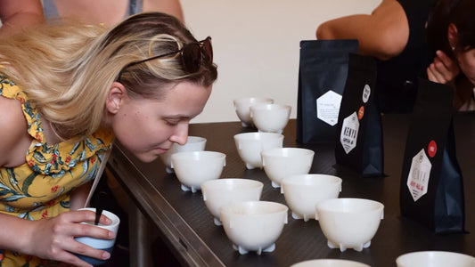 The Art of Coffee Tasting Developing Your Palate