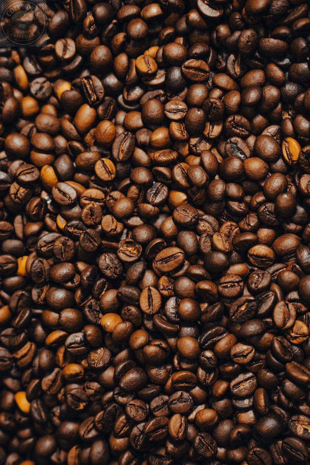 Your Ultimate Guide to Different Coffee Beans Varieties Cozy Notes Coffee Co