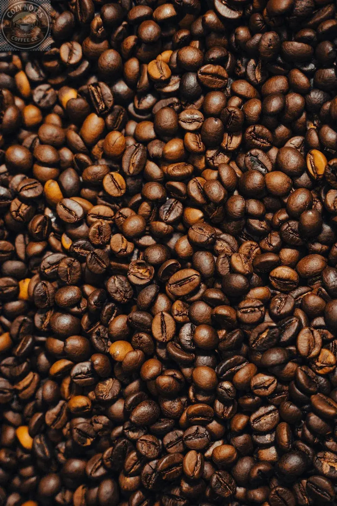 Your Ultimate Guide to Different Coffee Beans Varieties Cozy Notes Coffee Co