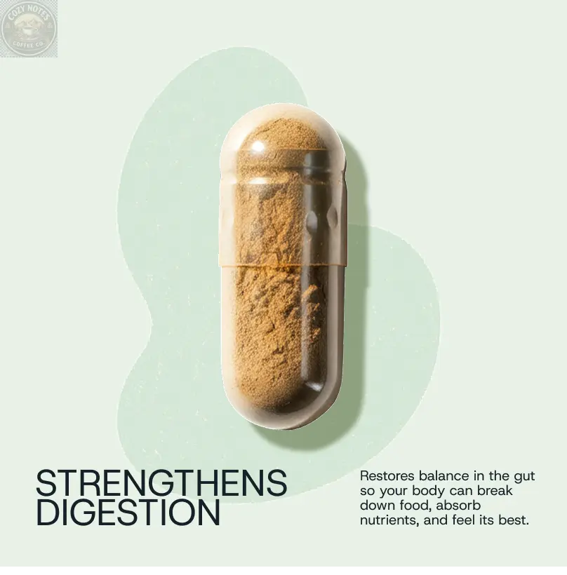 Daily Probiotic Refill Packs Winnow