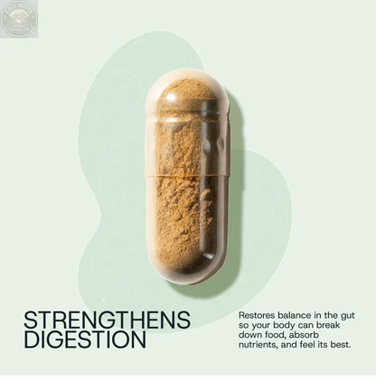 Daily Probiotic Refill Packs Winnow