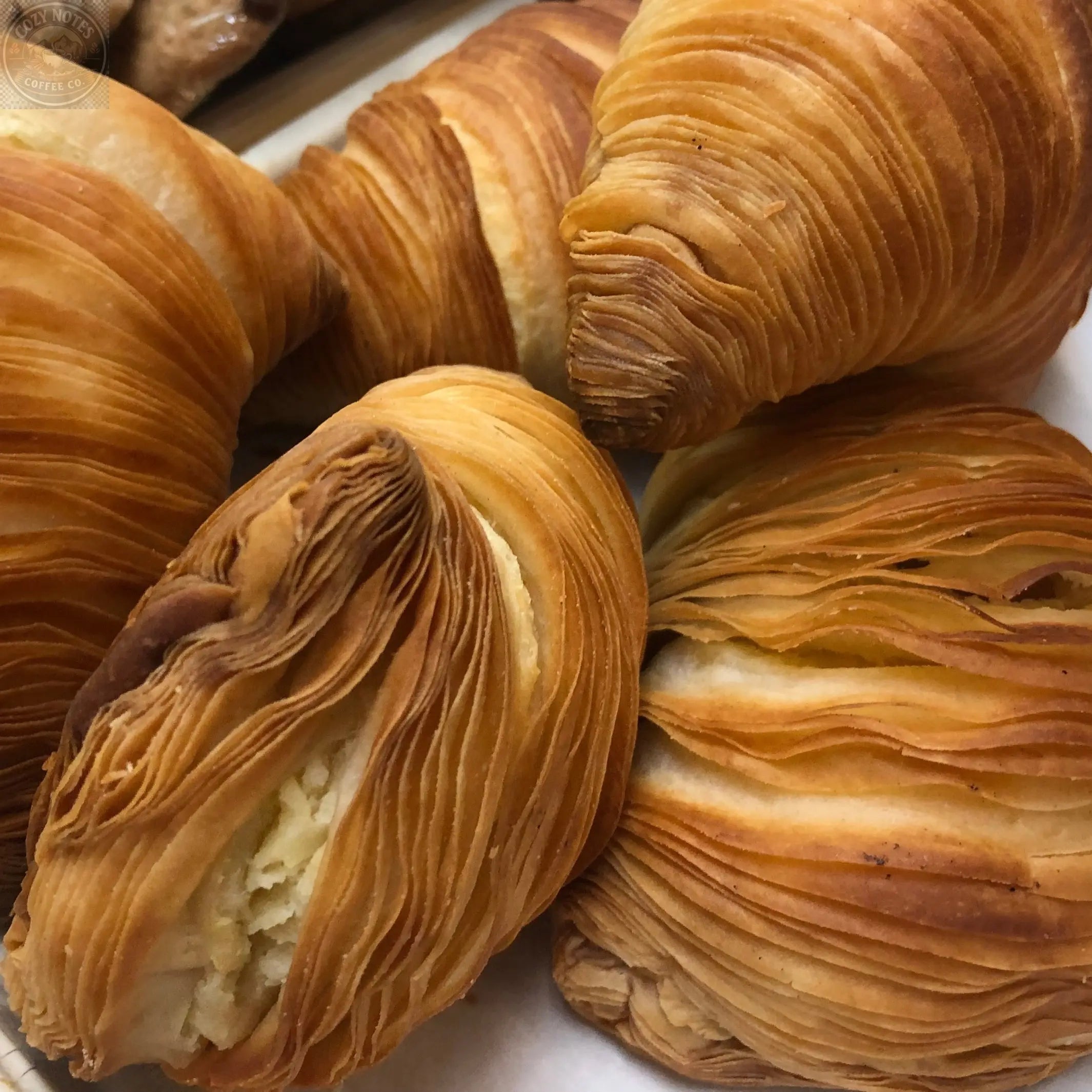 Mini Italian Sfogliatelle Take and Bake Pastries Nicola's Marketplace
