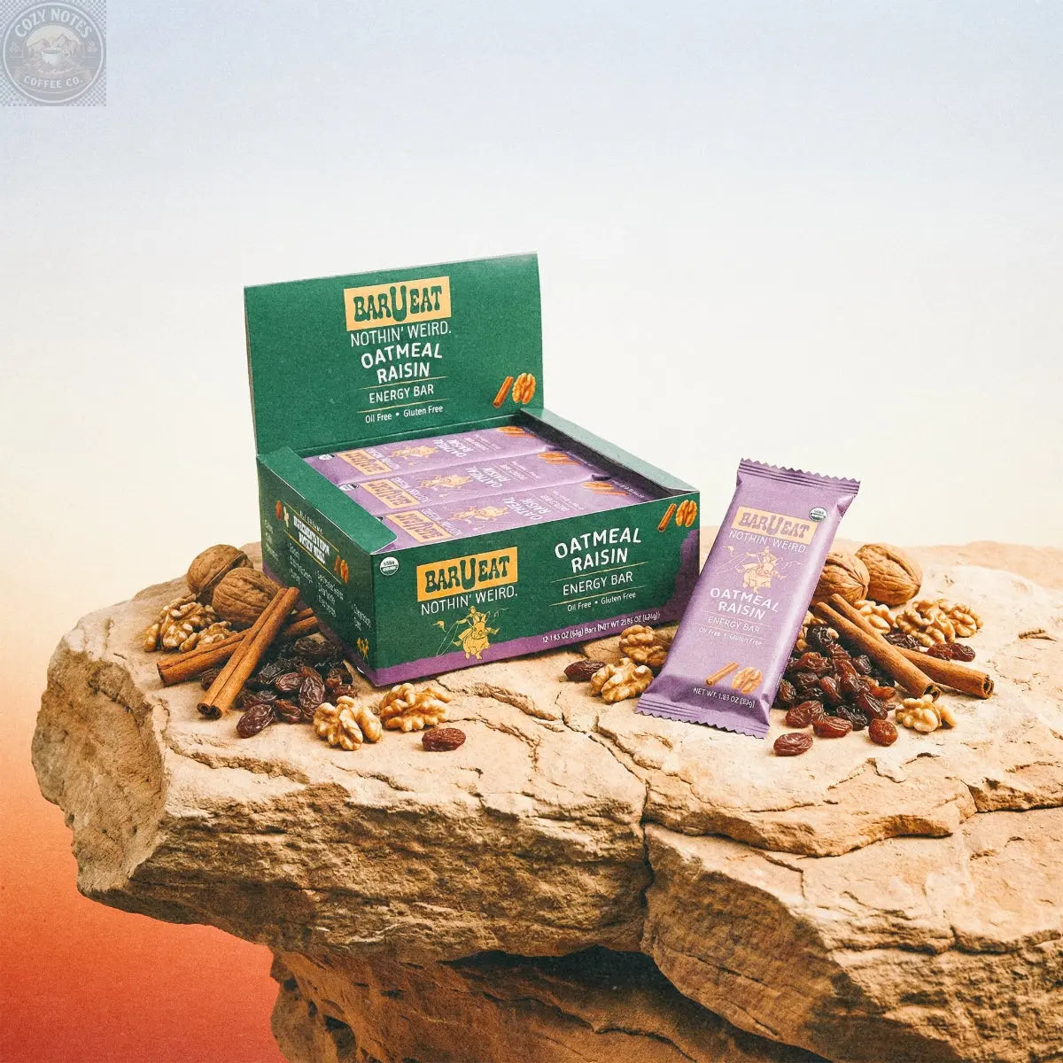 Oatmeal Raisin BOX BAR-U-EAT