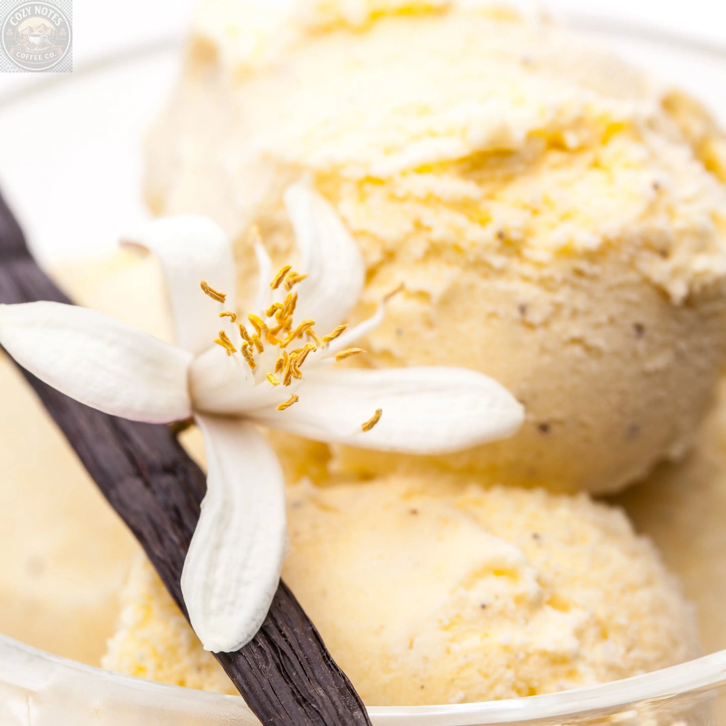 Vanilla Bean Sugar: BEAN GOOD 16oz SALTOPIA Infused Sea Salts