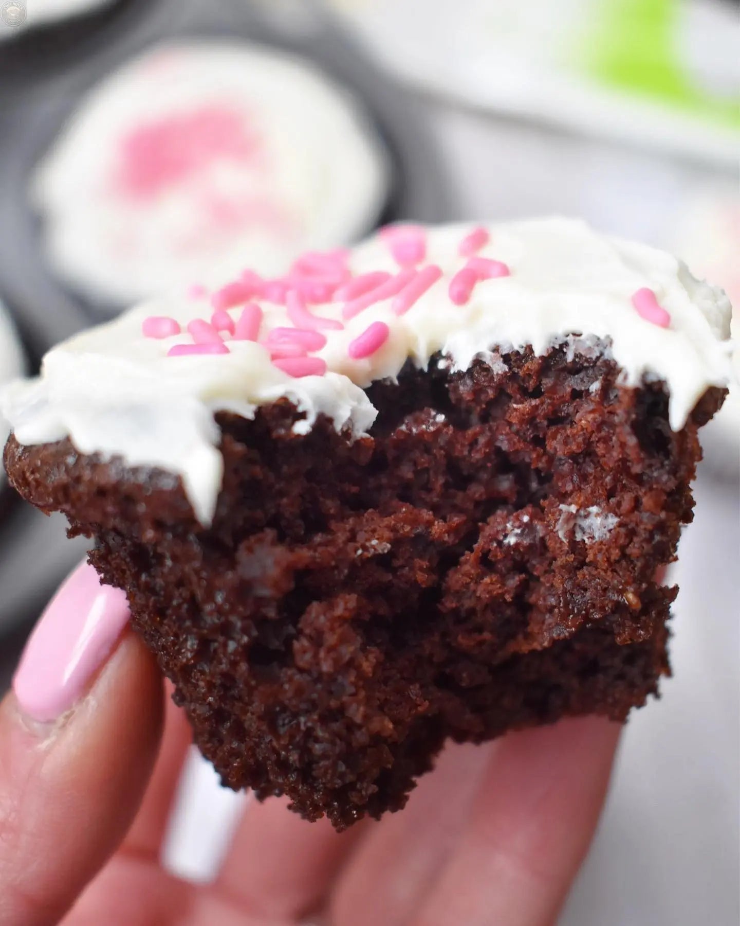Chocolate Cake Mix Jessica's Natural Foods