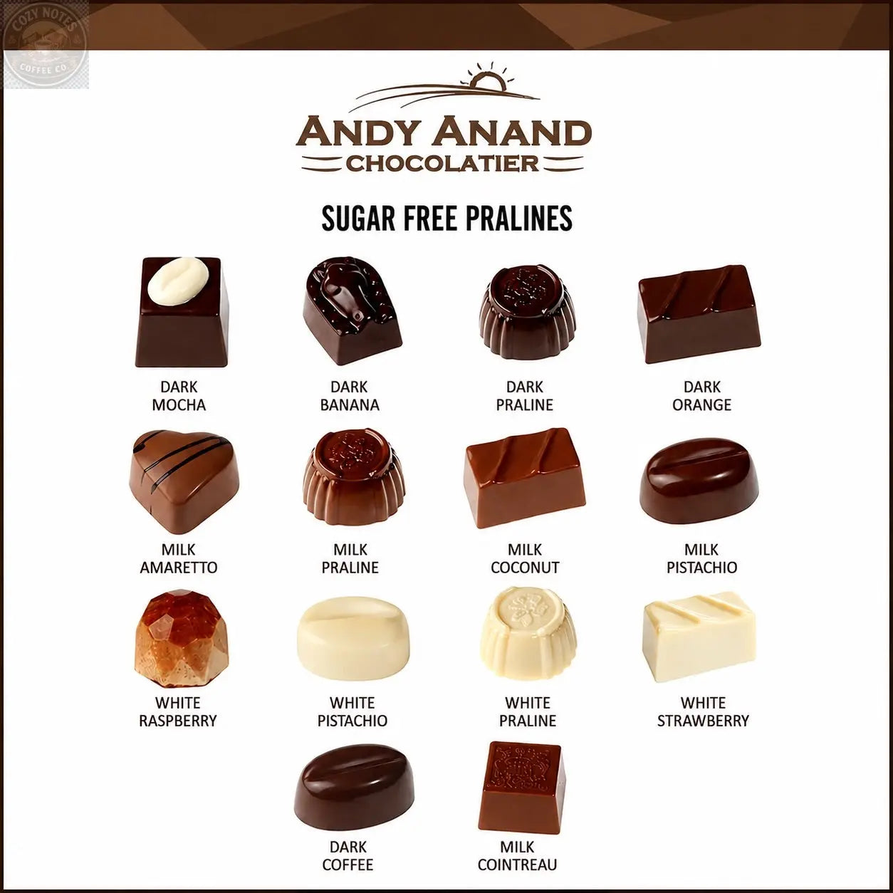 Andy Anand Sugar-Free Luxury Belgian Chocolate Truffles, 25 pc – Espresso, Hazelnut, Strawberry, Coconut, Cherry, Diabetic-Friendly Gift Andyanand