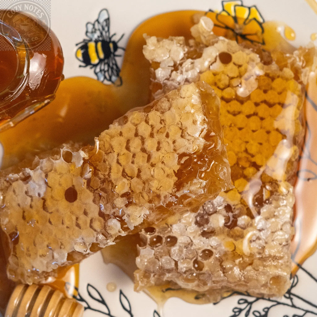 New England hand cut Honey Comb Aquidneck Honey