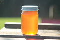 Raw Wildflower Honey 16 oz. Scott Honey Farms & Organics