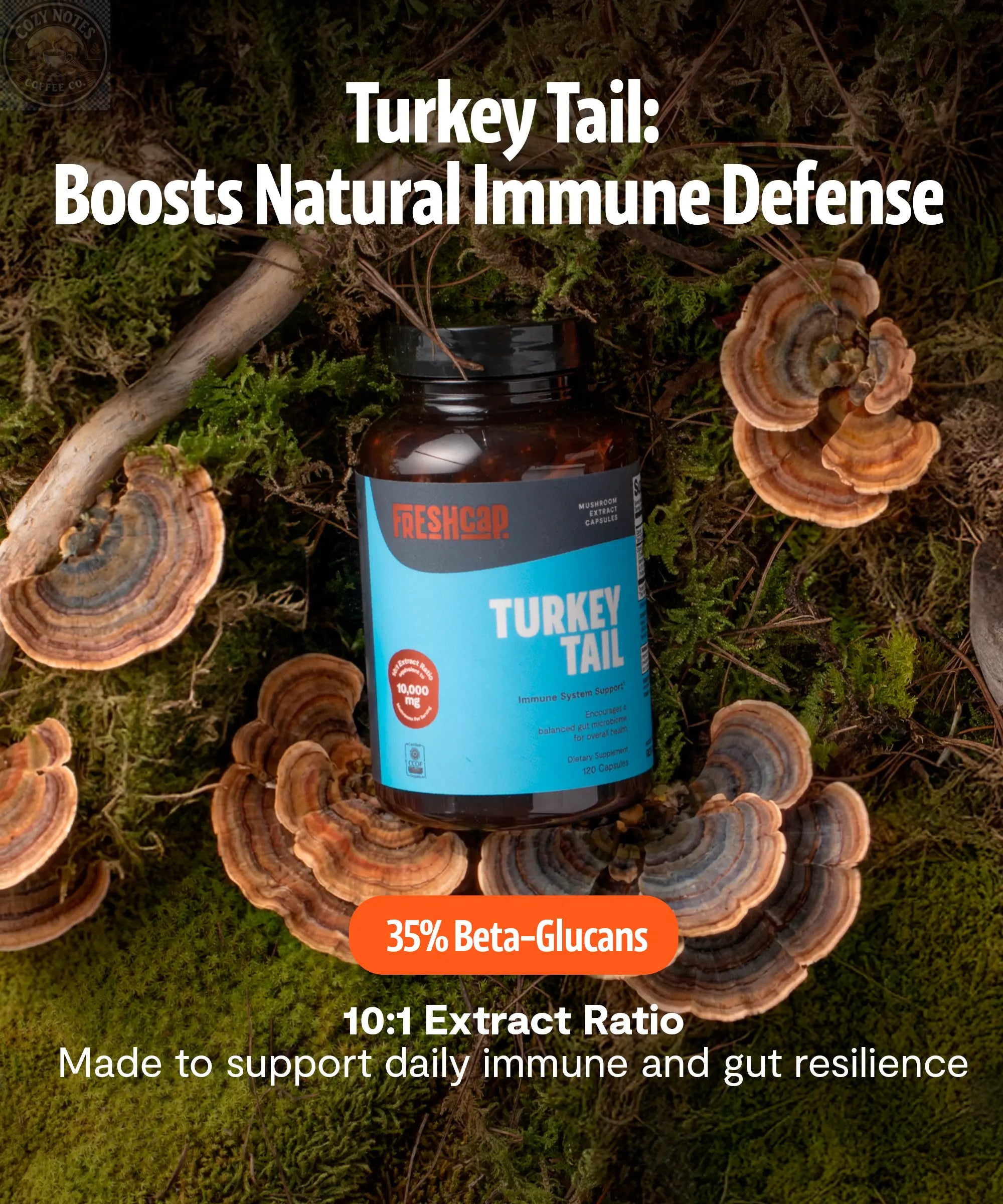 Organic Turkey Tail Mushroom Capsules FreshCap Mushrooms