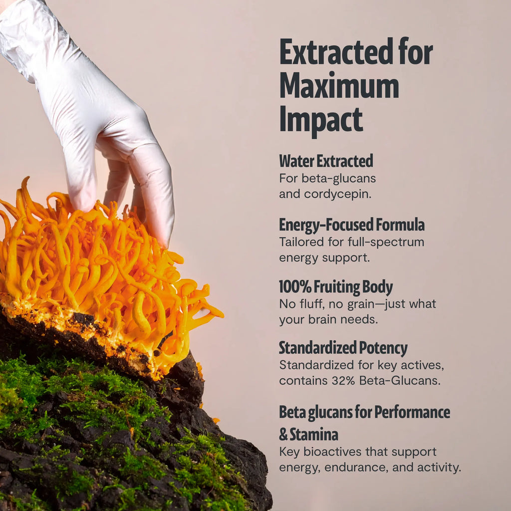 Cordyceps Mushroom Extract Powder FreshCap Mushrooms