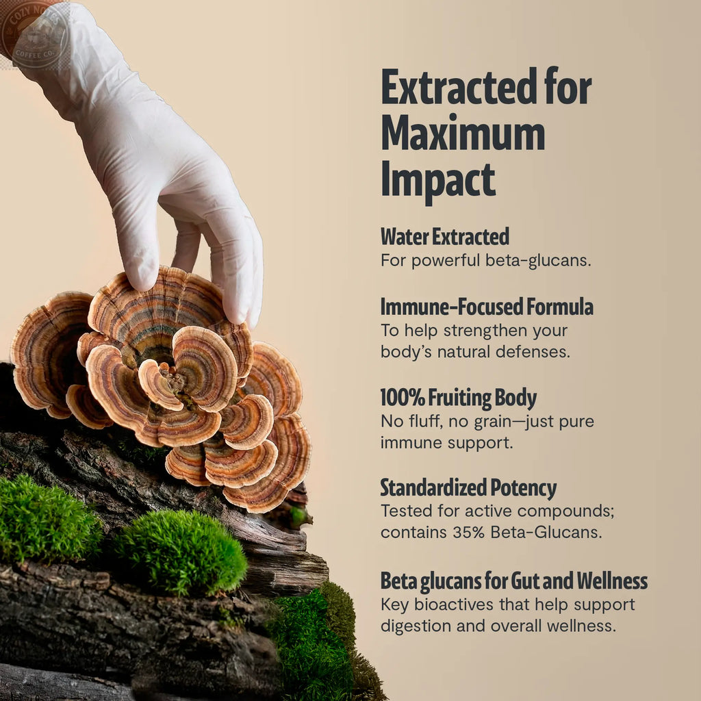 Organic Turkey Tail Mushroom Powder FreshCap Mushrooms