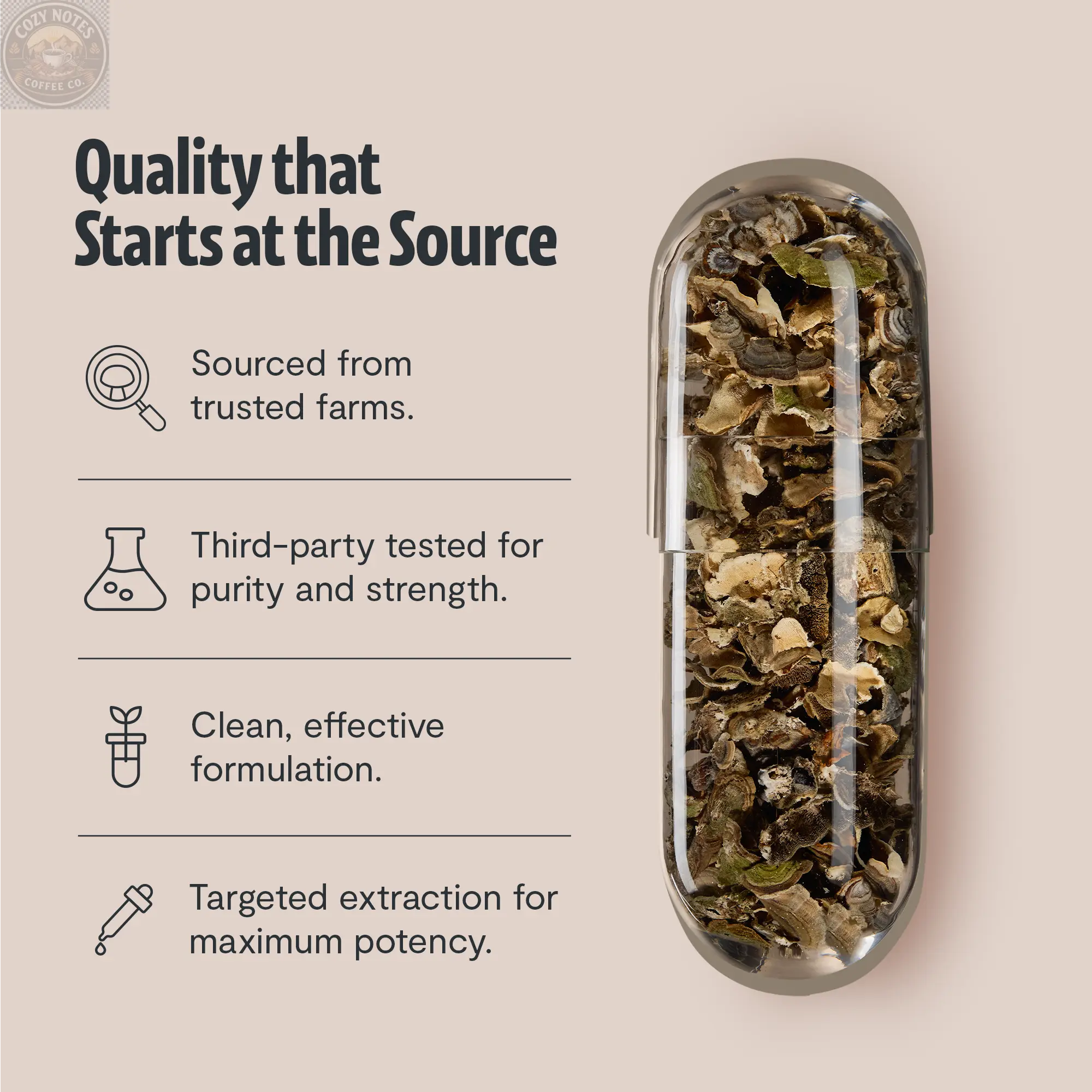 Organic Turkey Tail Mushroom Capsules FreshCap Mushrooms