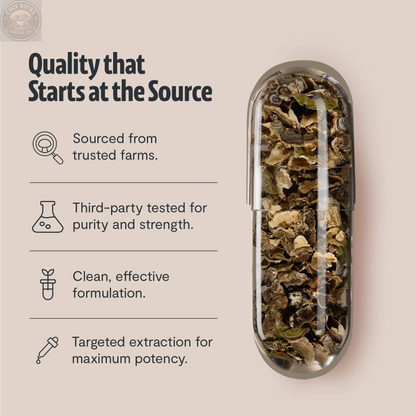 Organic Turkey Tail Mushroom Capsules FreshCap Mushrooms