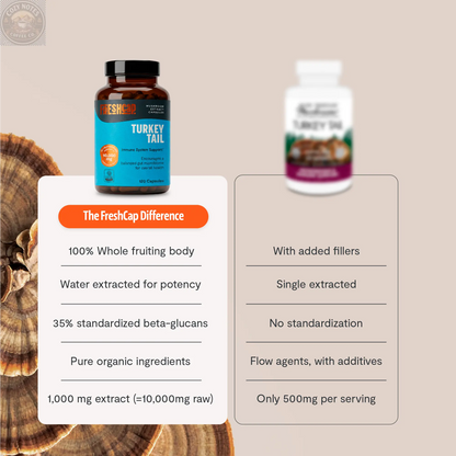 Organic Turkey Tail Mushroom Capsules FreshCap Mushrooms