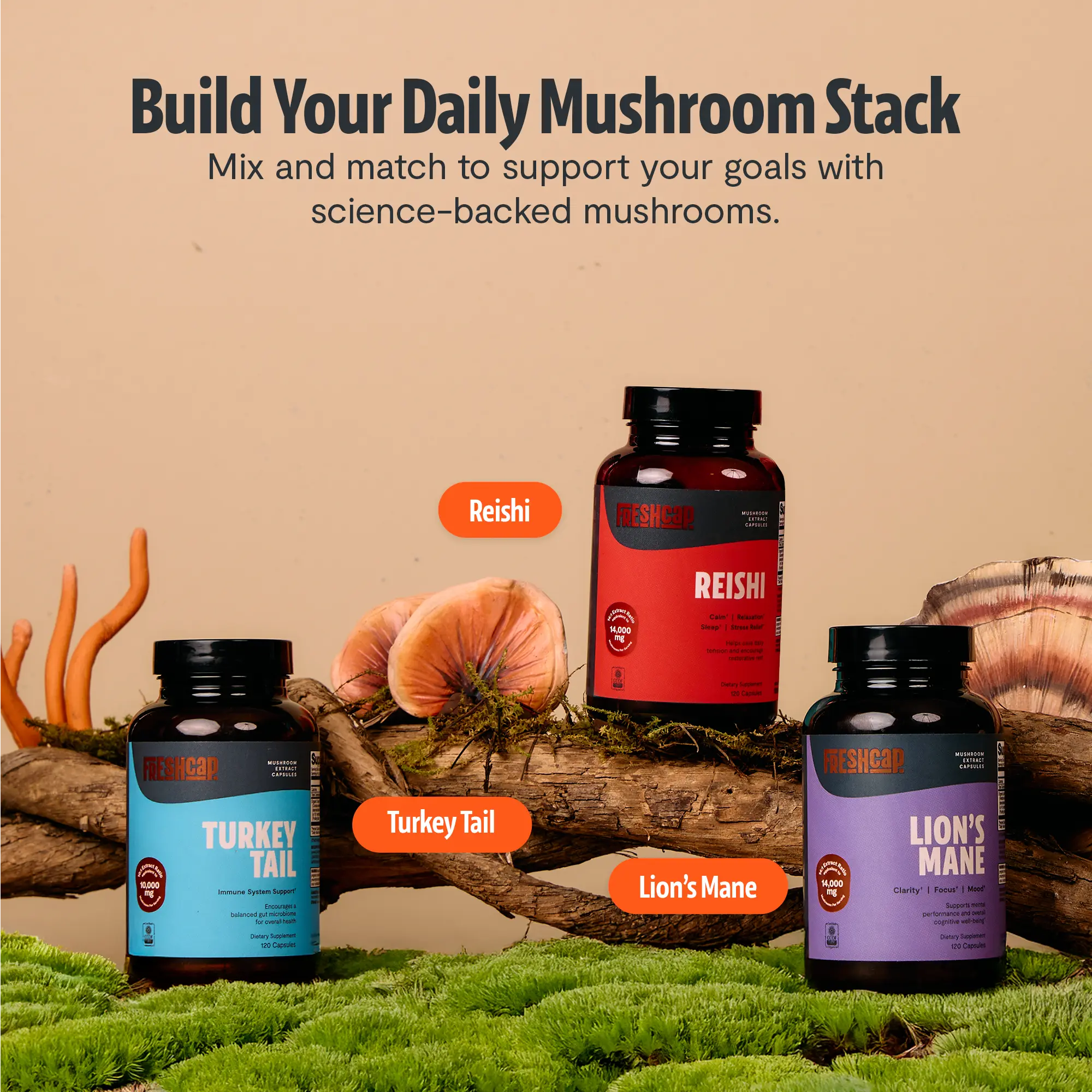 Organic Turkey Tail Mushroom Capsules FreshCap Mushrooms