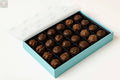 Andy Anand Sugar-Free Chocolate Sampler, 13 oz – Diabetic-Friendly, Assorted Gourmet Flavors, Guilt-Free Indulgence, Birthday & Holiday Gift Andyanand