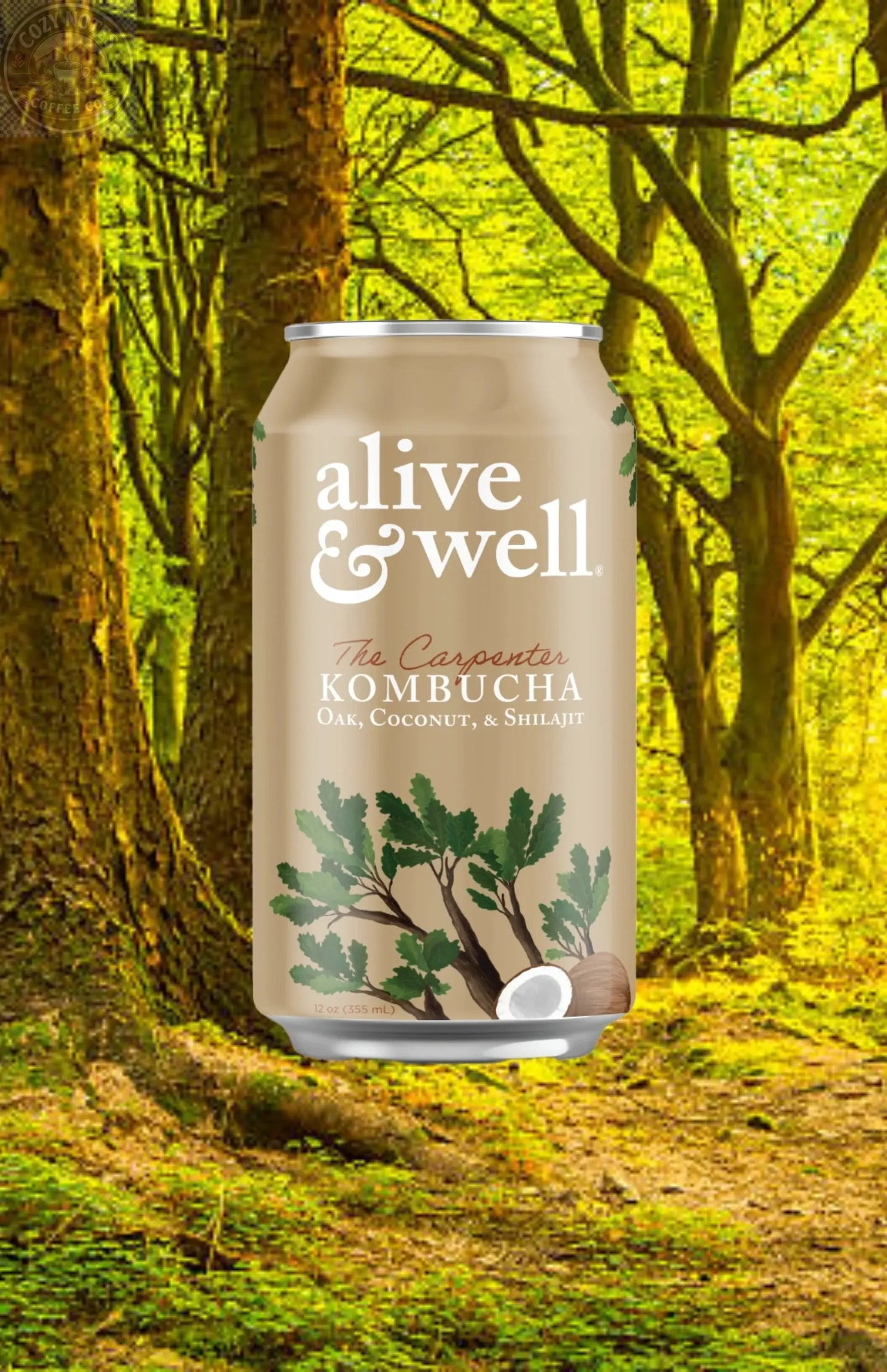 Oak & Coconut Kombucha Organic Alive & Well Kombucha