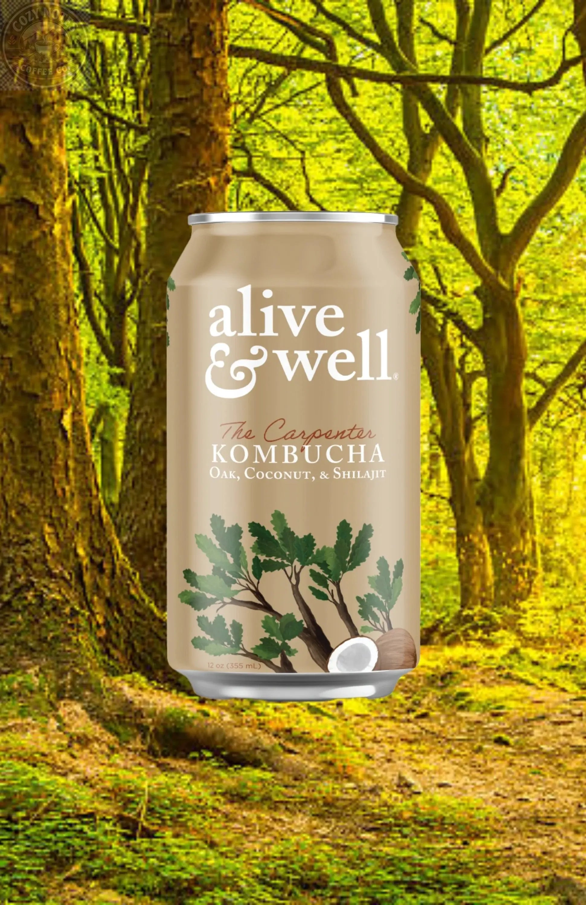 Oak & Coconut Kombucha Organic Alive & Well Kombucha