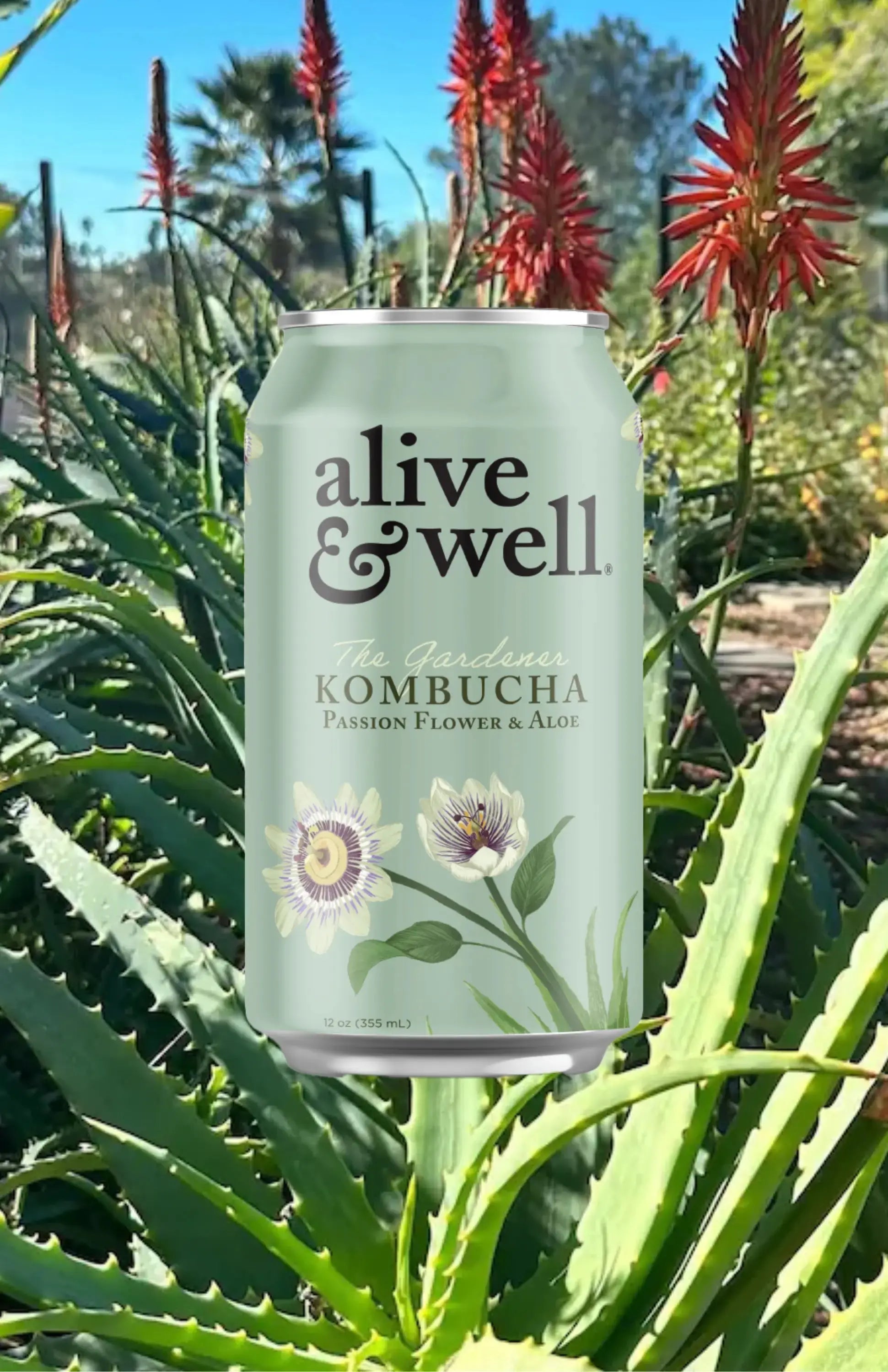 Passionflower & Aloe Kombucha Organic Alive & Well Kombucha
