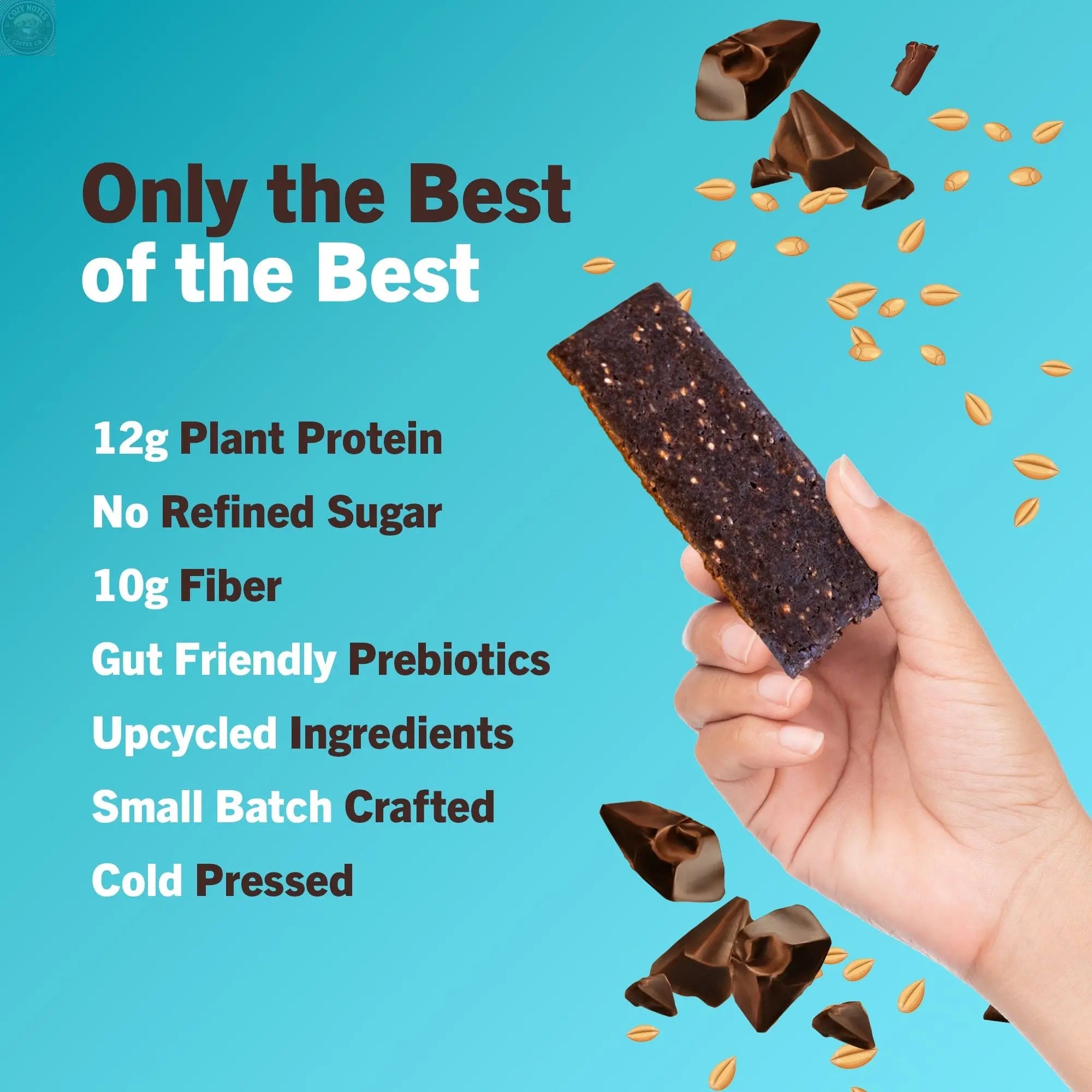 Oatmeal Chocolate Chip Amrita Health Foods