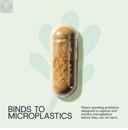 Daily Probiotic Refill Packs Winnow