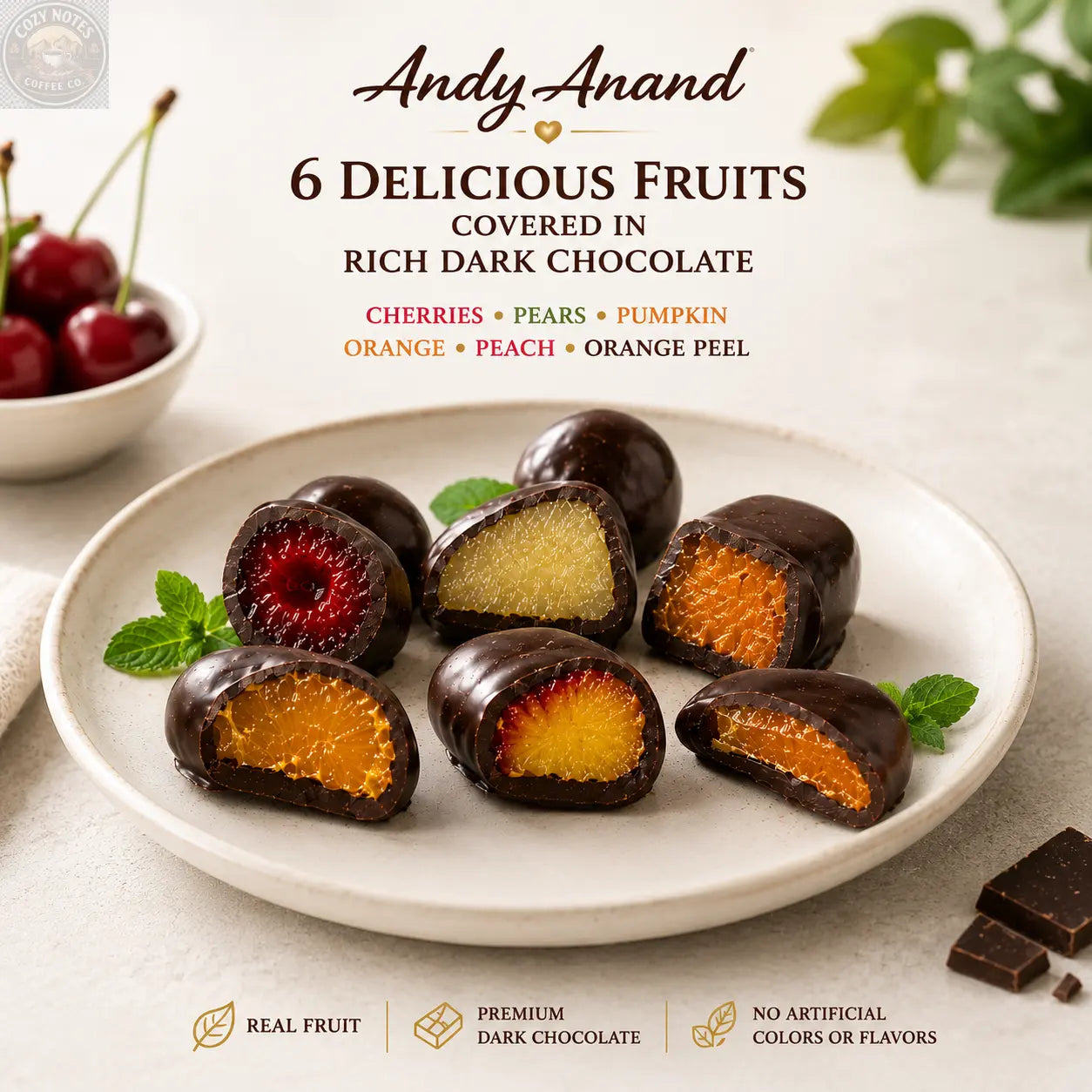 ANDY ANAND Chocolate Covered Fruits Collection Gift Box, 20 Pieces – Cherry, Pear, Pumpkin, Orange, Peach &amp; Orange Peel Covered in Premium Dark Chocolate, Gourmet Fruit Candy Assortment, California Made, Gift Ready Andyanand
