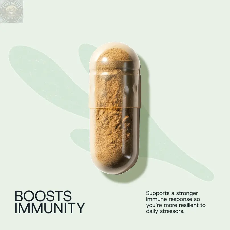 Daily Probiotic Refill Packs Winnow