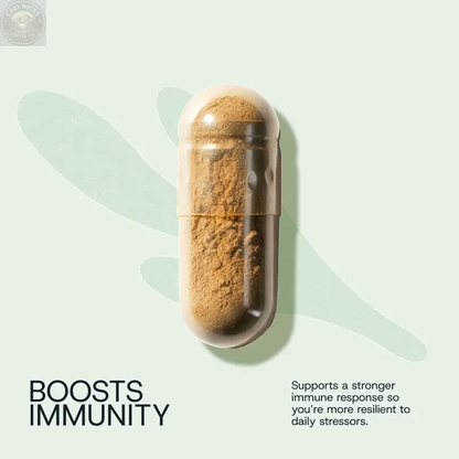 Daily Probiotic Refill Packs Winnow
