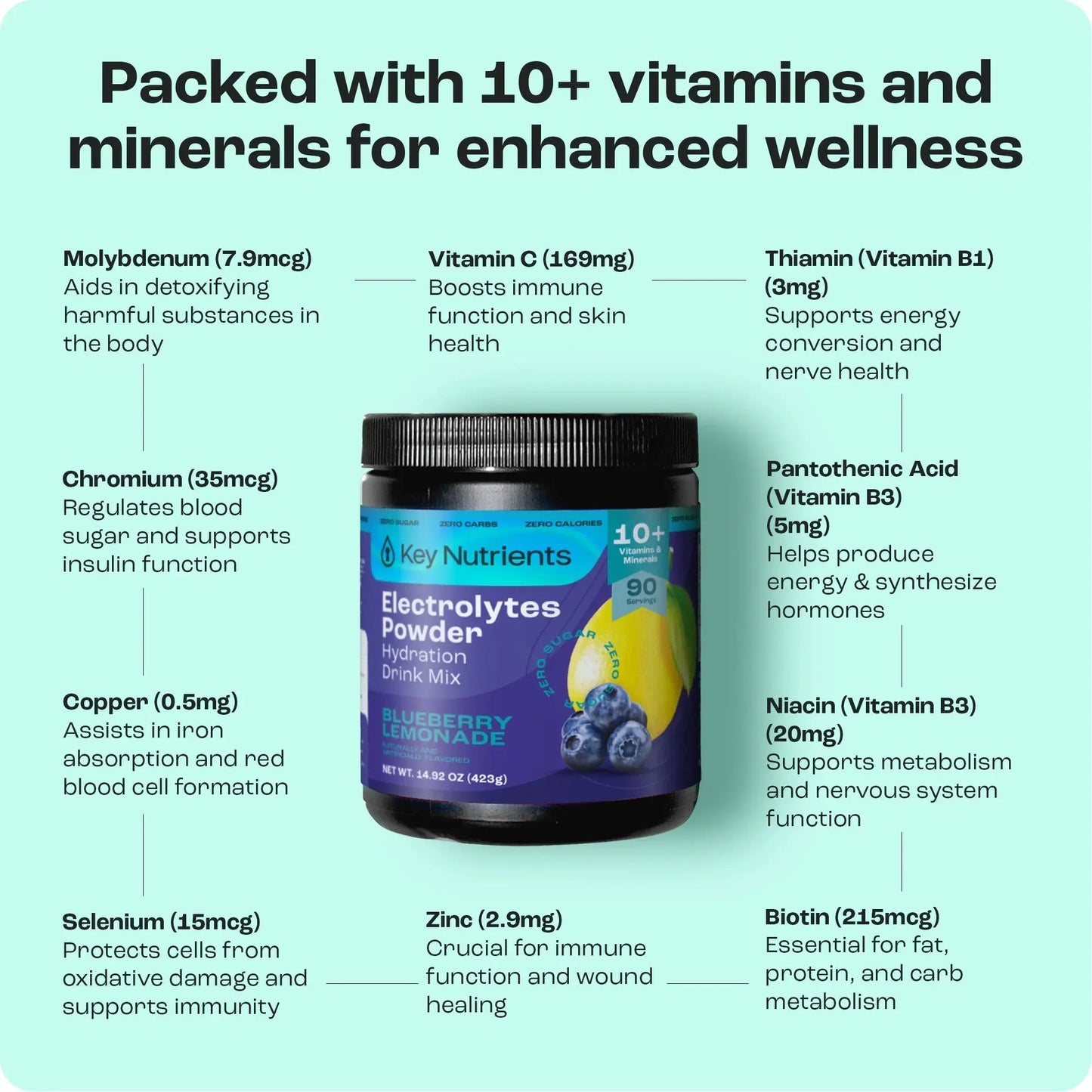 Electrolyte Recovery Plus Powder (Sugar-Free) Key Nutrients