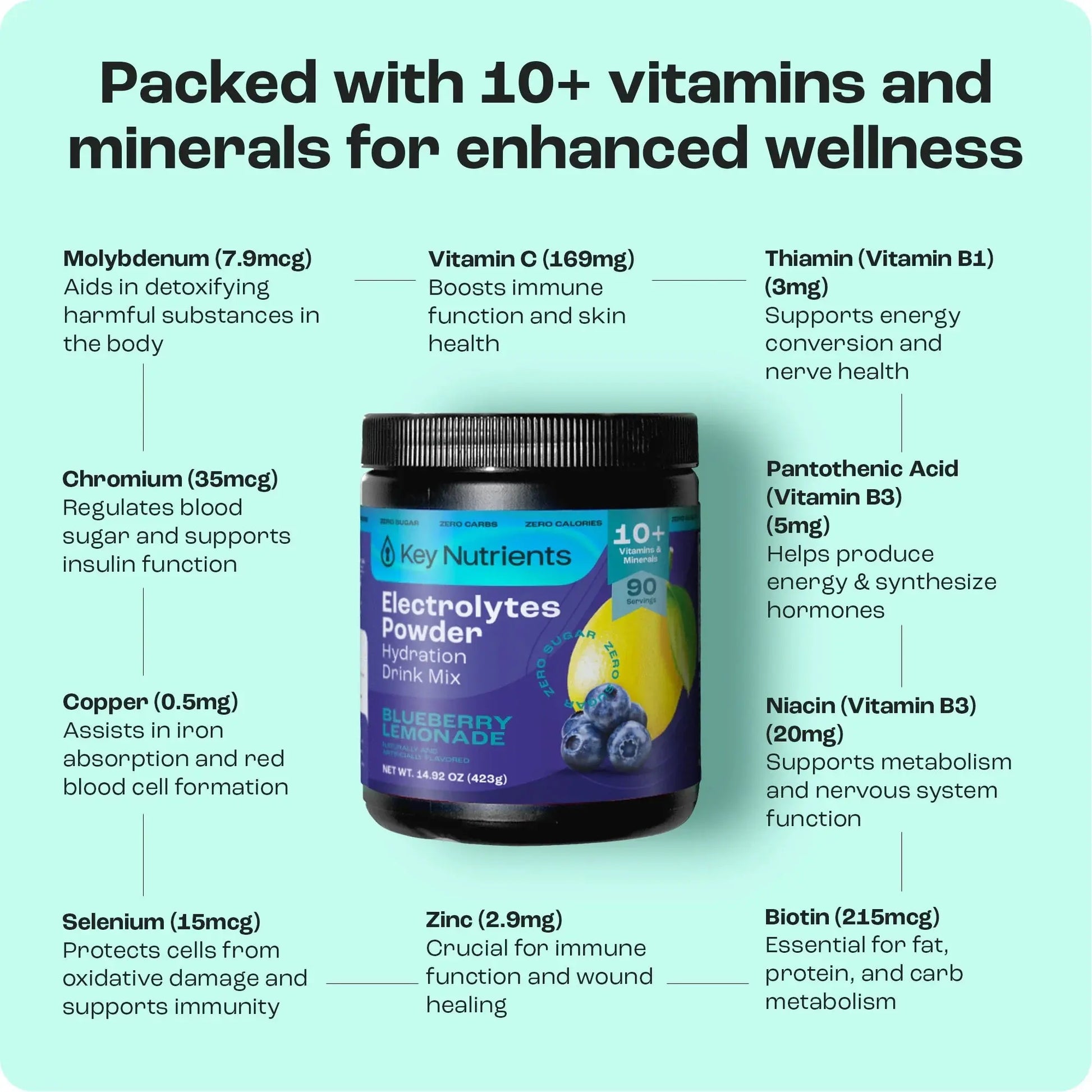 Electrolyte Recovery Plus Powder (Sugar-Free) Key Nutrients