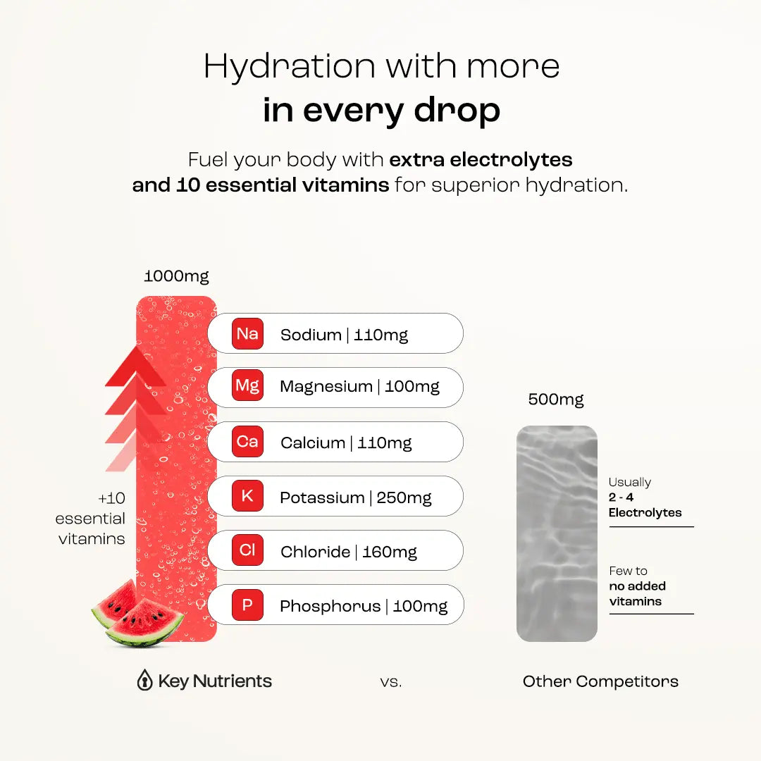 Electrolyte Recovery Plus Powder (Sugar-Free) Key Nutrients