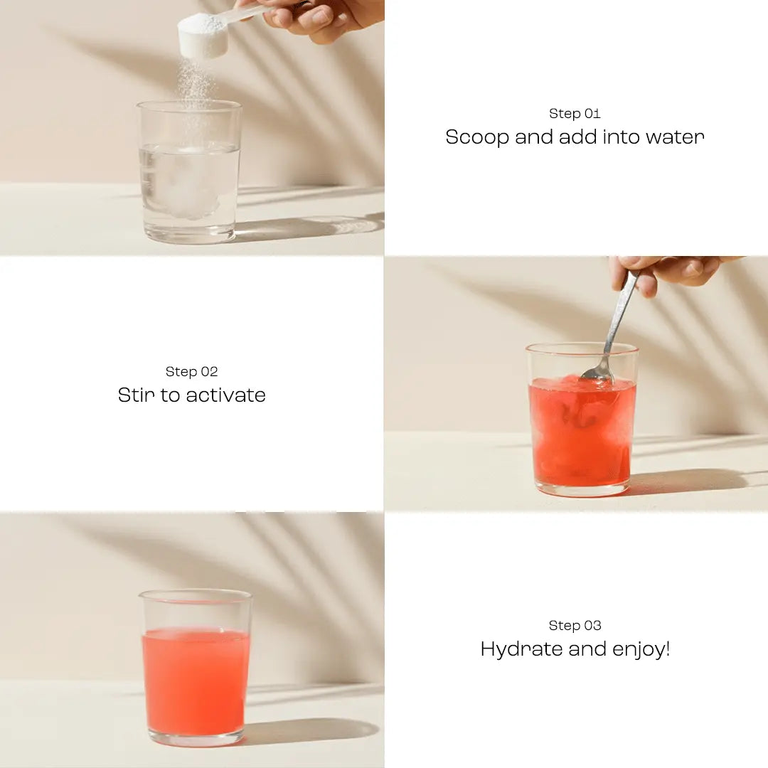 Electrolyte Recovery Plus Powder (Sugar-Free) Key Nutrients