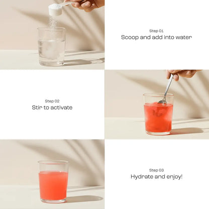 Electrolyte Recovery Plus Powder (Sugar-Free) Key Nutrients