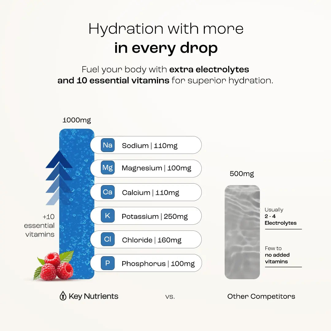Electrolyte Recovery Plus Powder (Sugar-Free) Key Nutrients