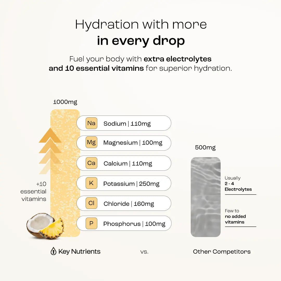 Electrolyte Recovery Plus Powder (Sugar-Free) Key Nutrients