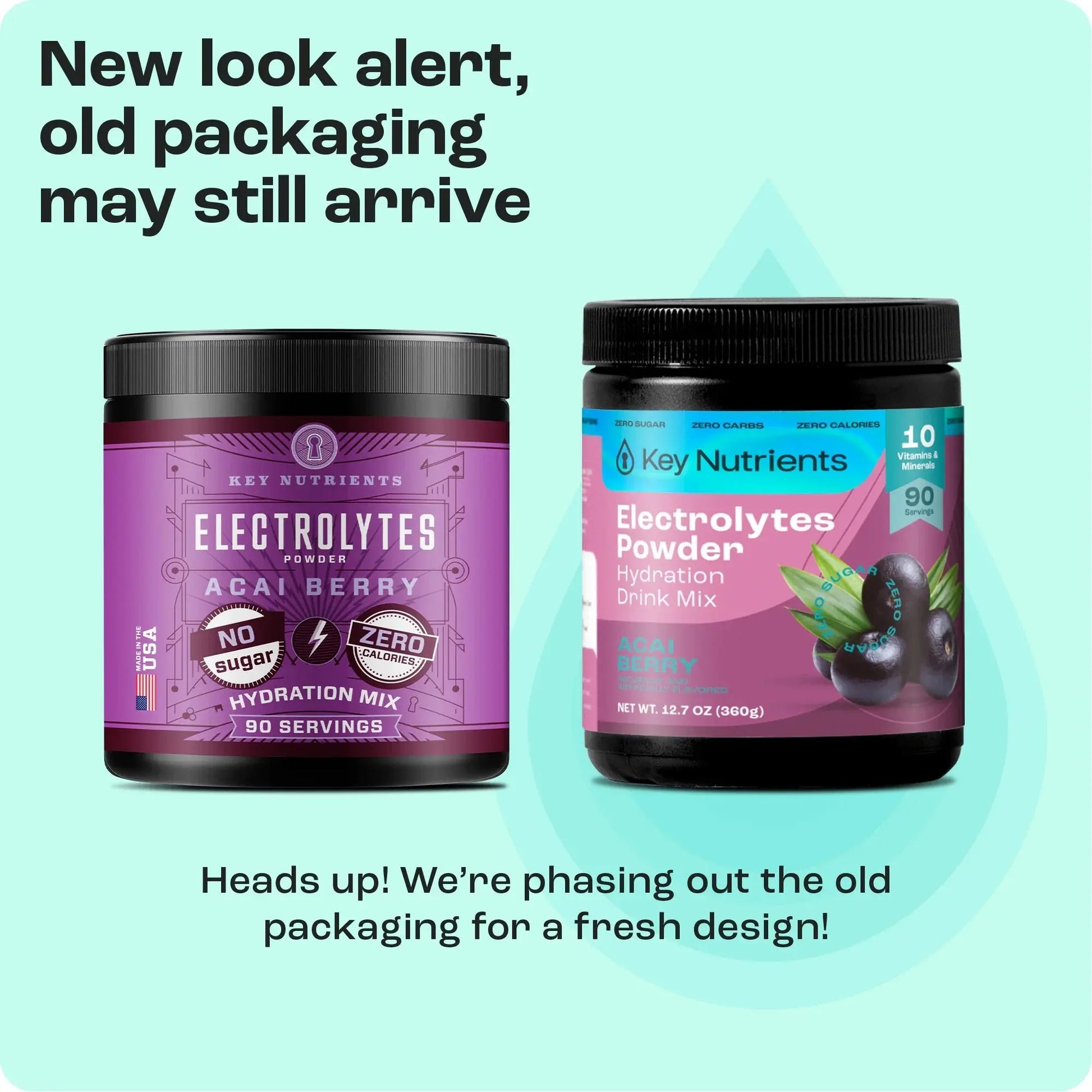 Electrolyte Recovery Plus Powder (Sugar-Free) Key Nutrients