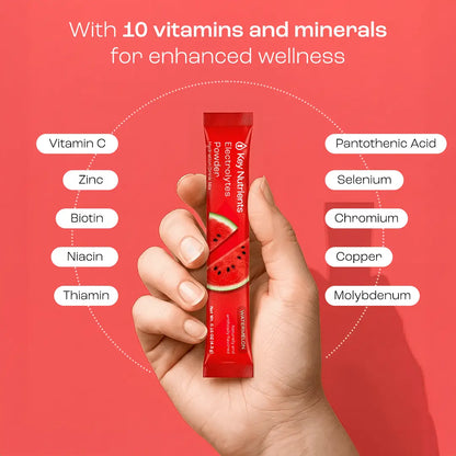 Electrolyte Recovery Plus Powder (Sugar-Free) Key Nutrients