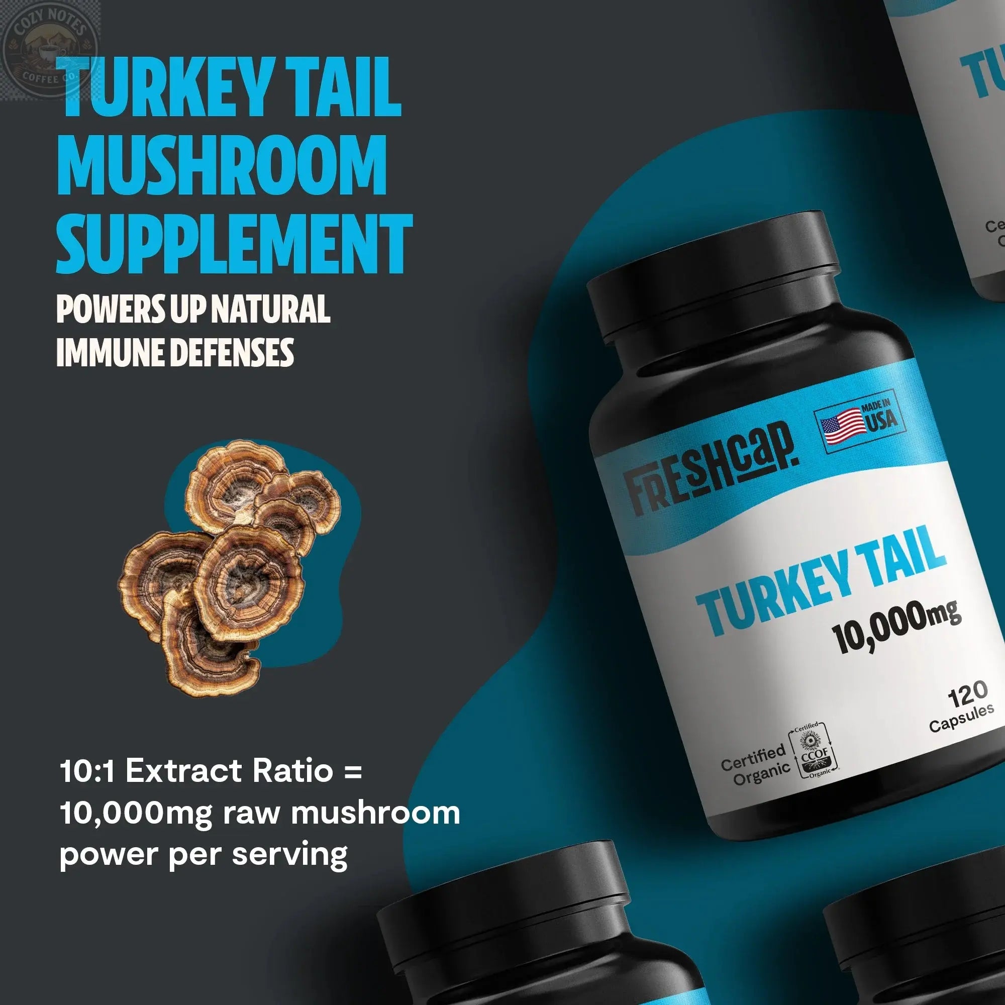 Organic Turkey Tail Mushroom Capsules FreshCap Mushrooms