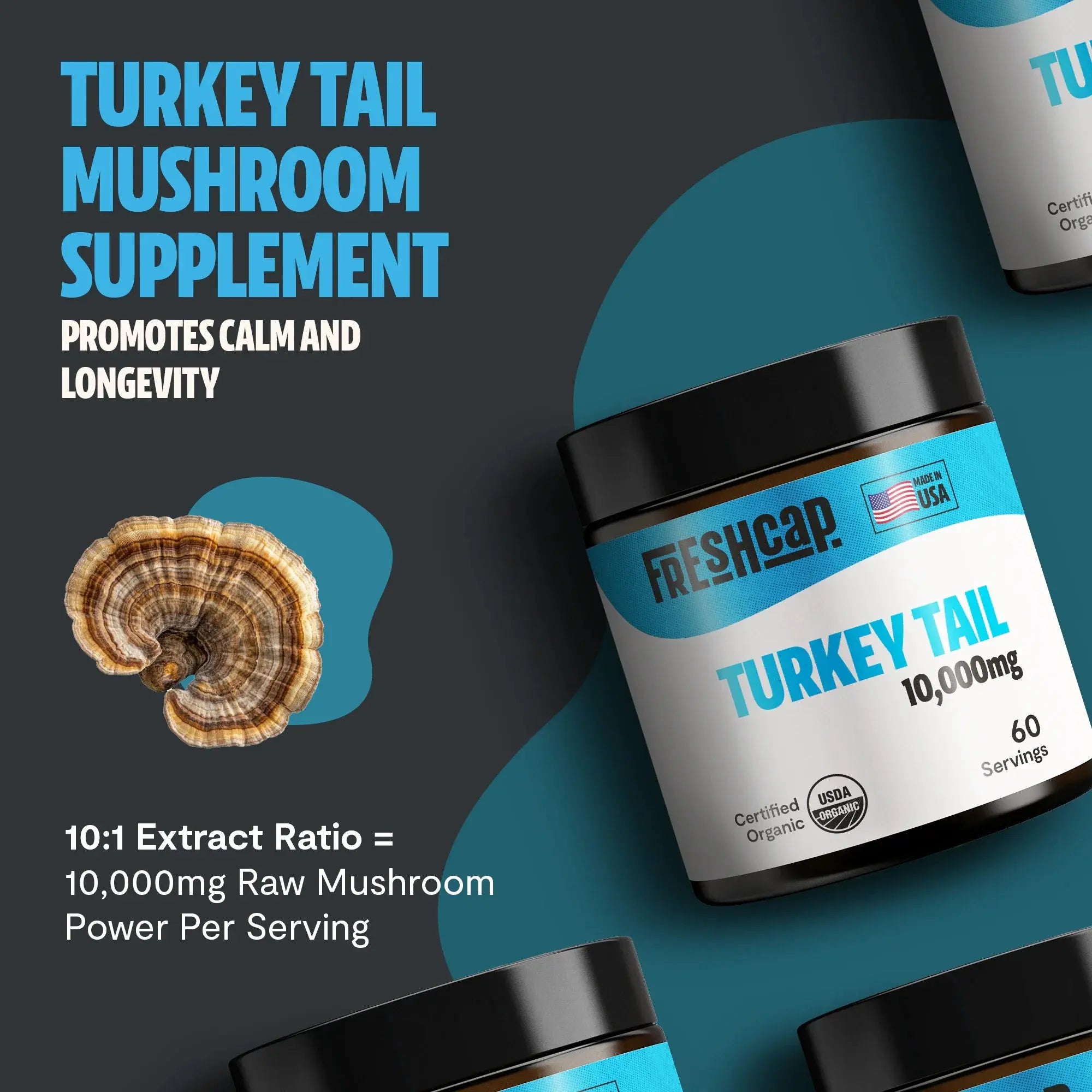 Organic Turkey Tail Mushroom Powder FreshCap Mushrooms