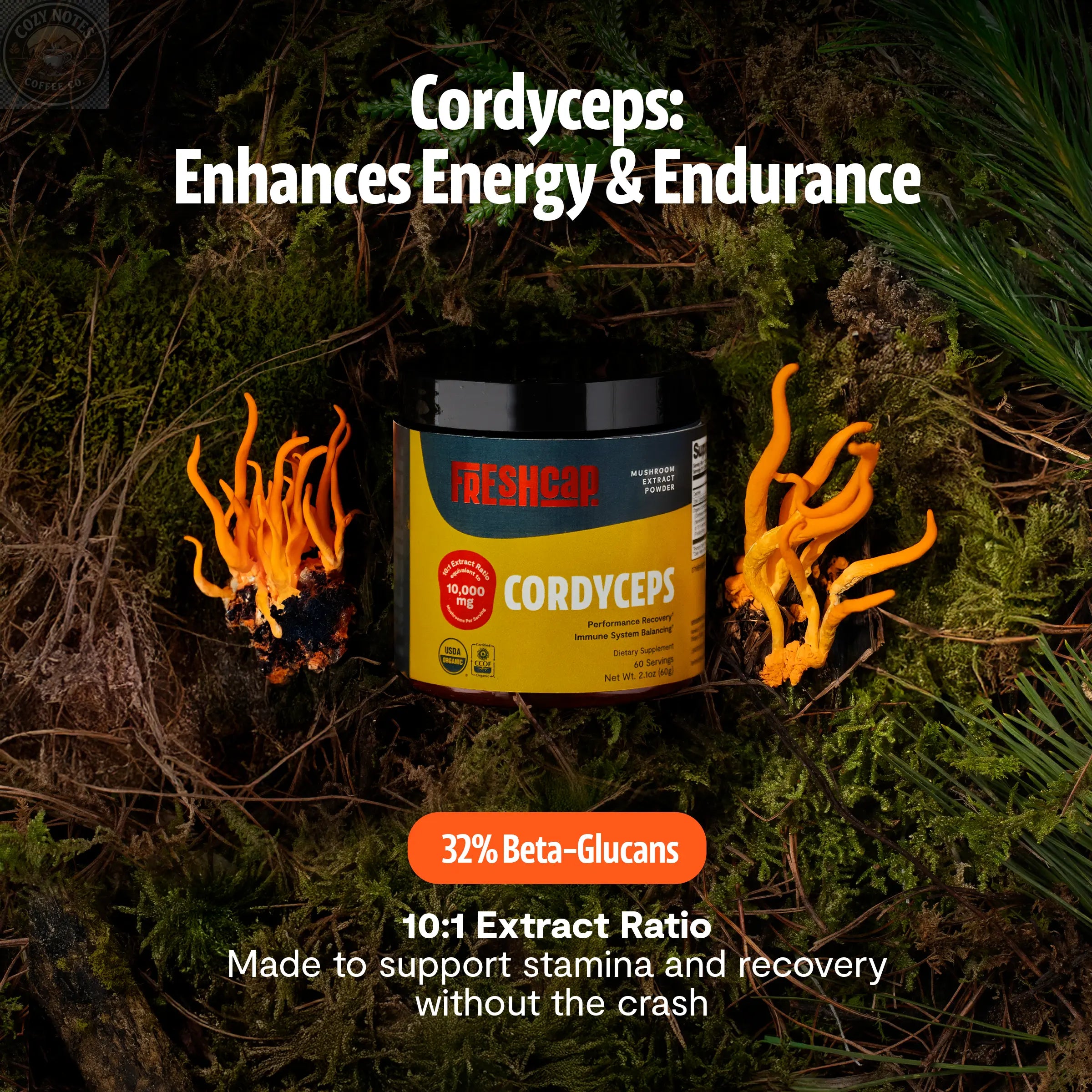 Cordyceps Mushroom Extract Powder FreshCap Mushrooms