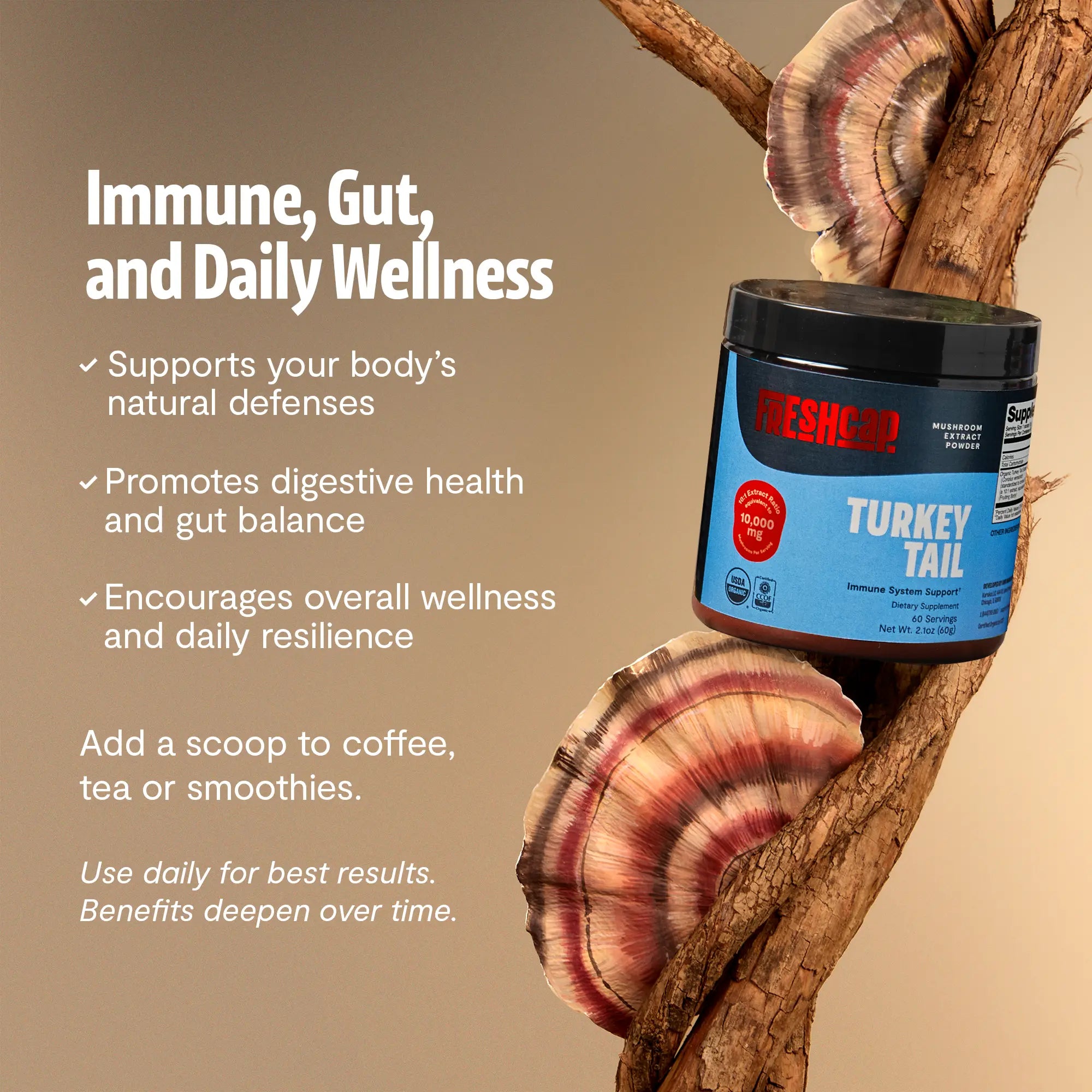 Organic Turkey Tail Mushroom Powder FreshCap Mushrooms