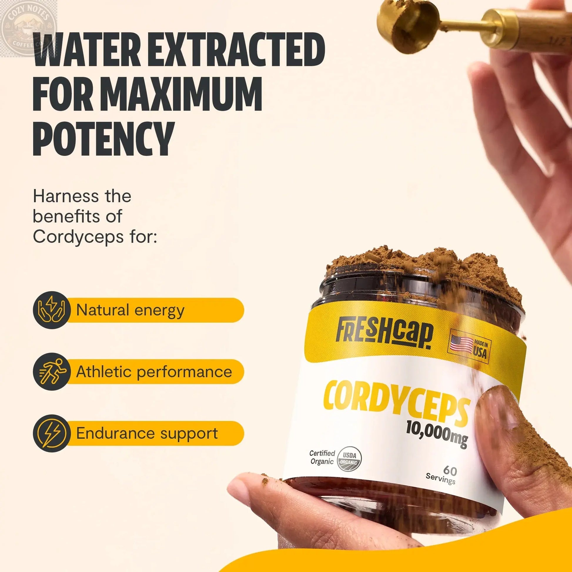 Cordyceps Mushroom Extract Powder FreshCap Mushrooms