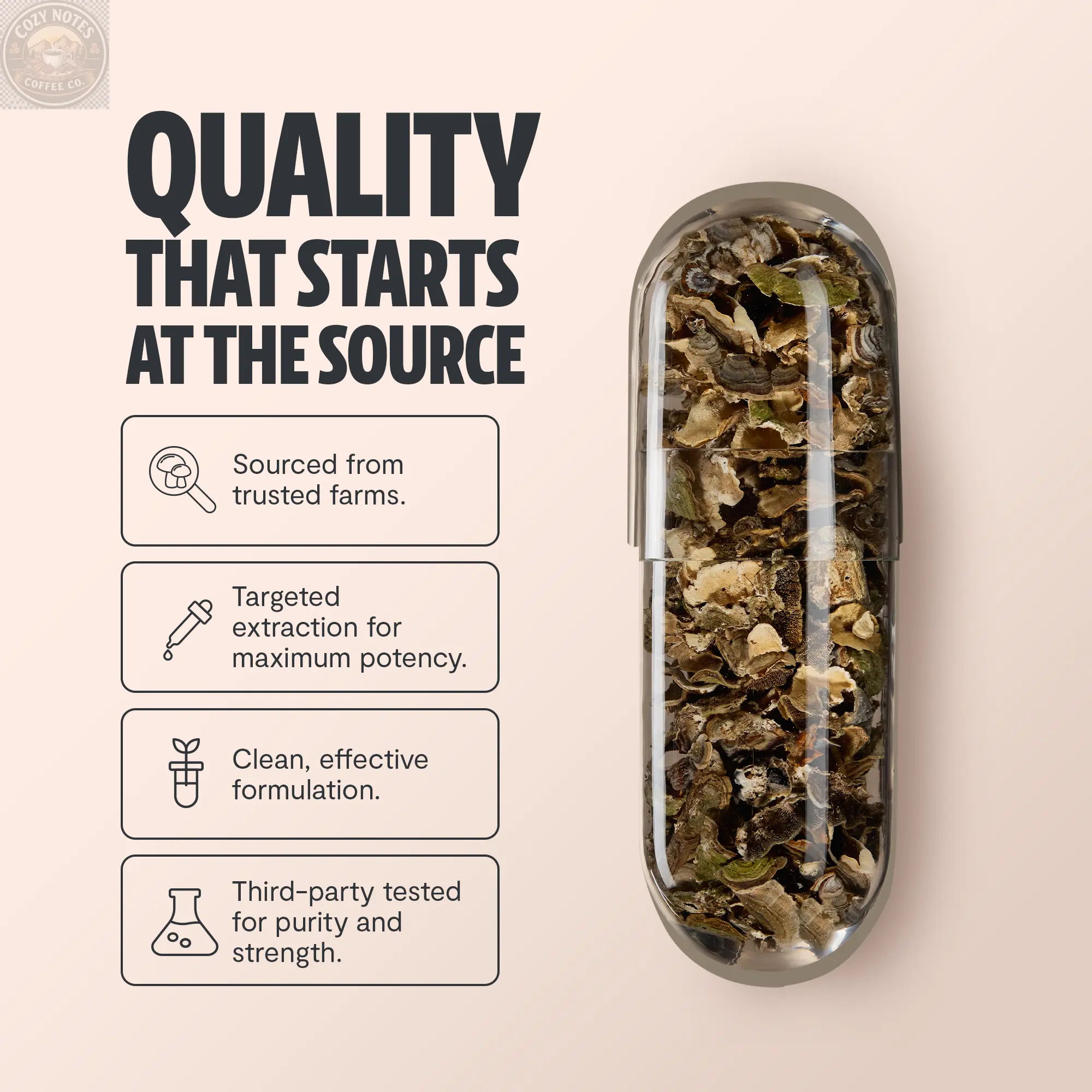 Organic Turkey Tail Mushroom Capsules FreshCap Mushrooms