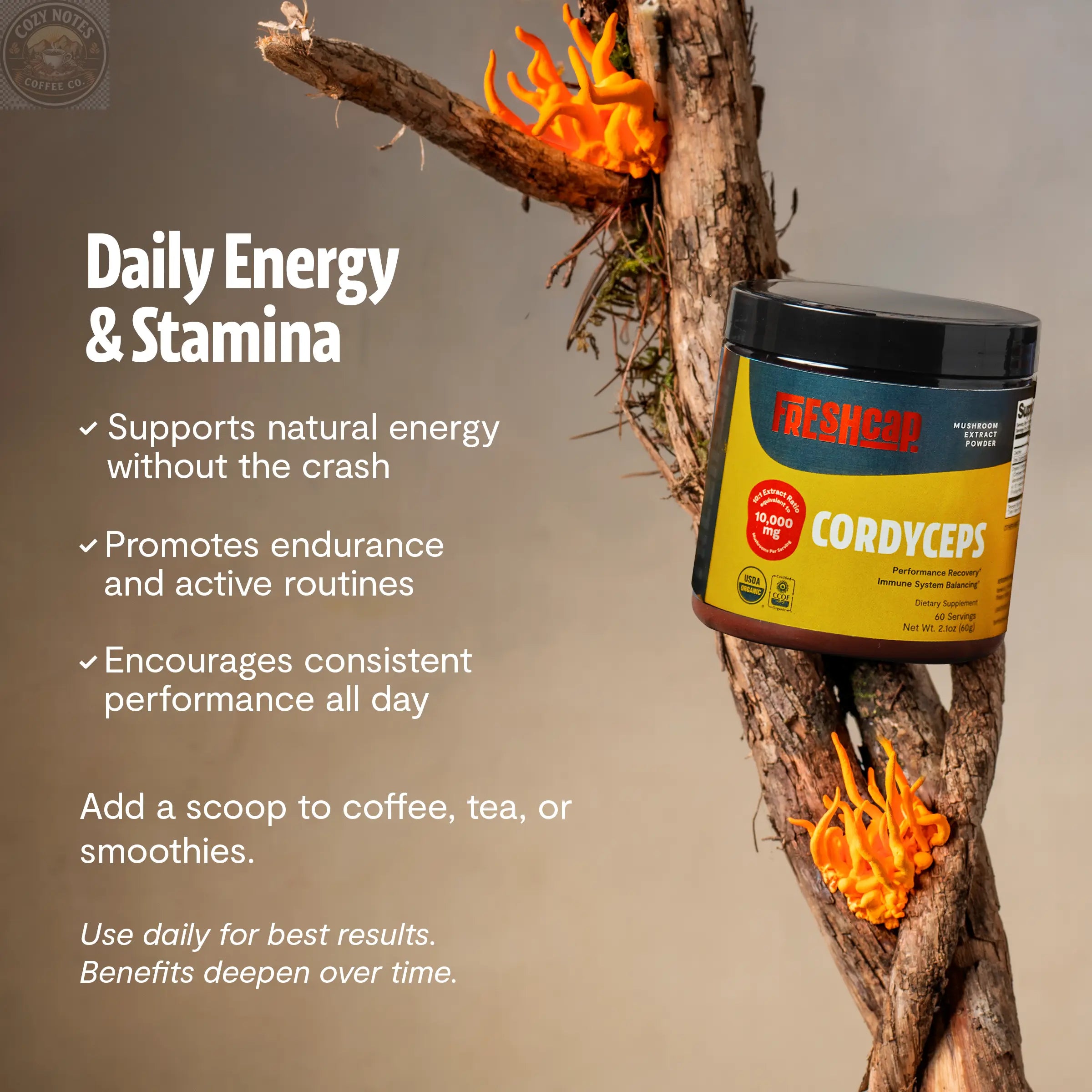 Cordyceps Mushroom Extract Powder FreshCap Mushrooms
