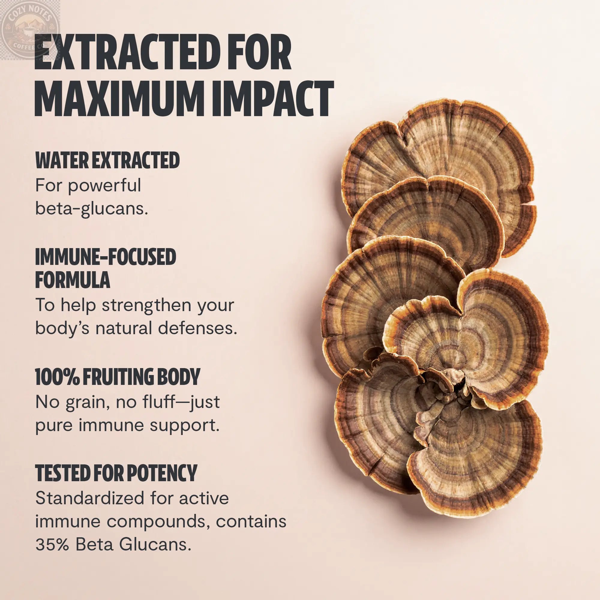 Organic Turkey Tail Mushroom Capsules FreshCap Mushrooms