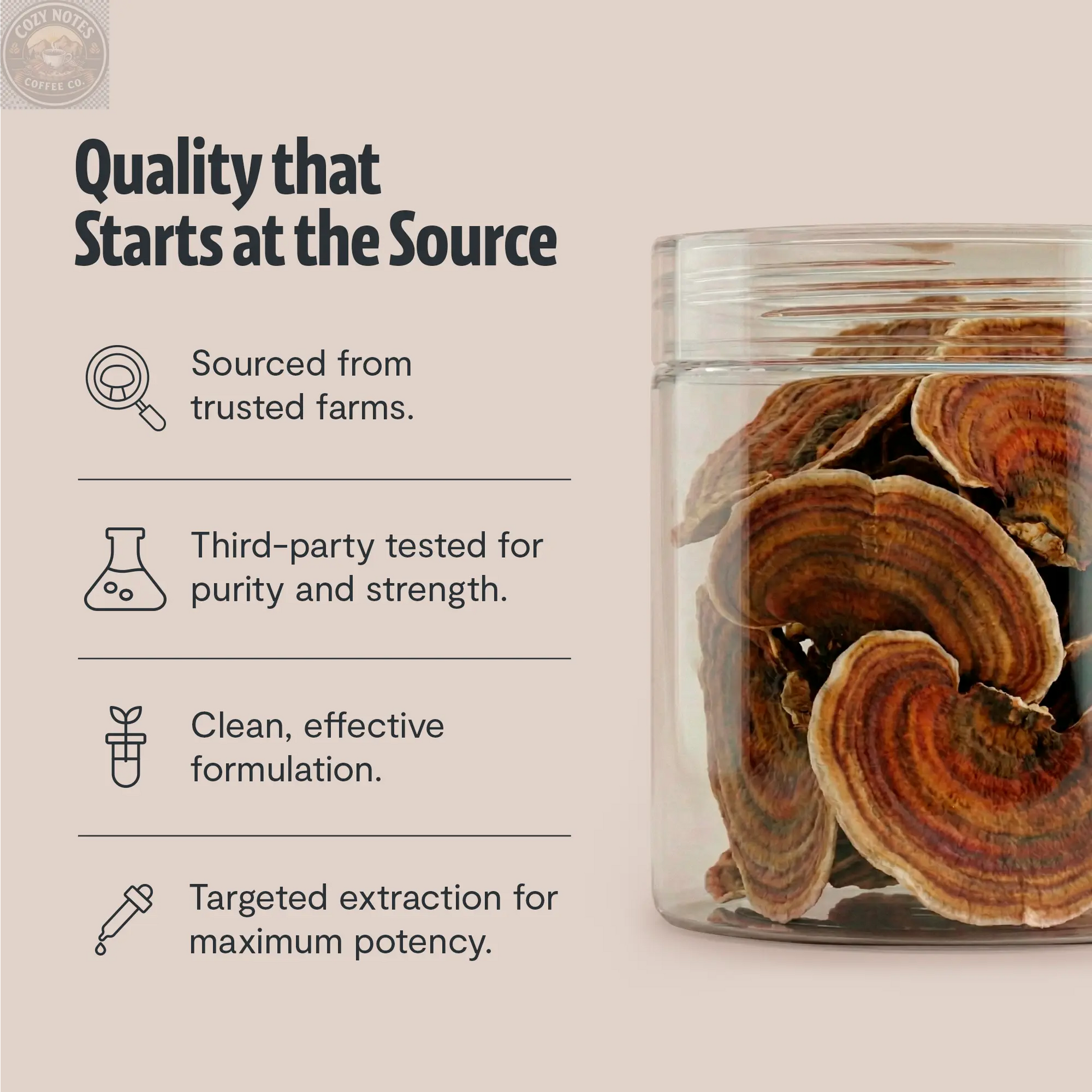Organic Turkey Tail Mushroom Powder FreshCap Mushrooms